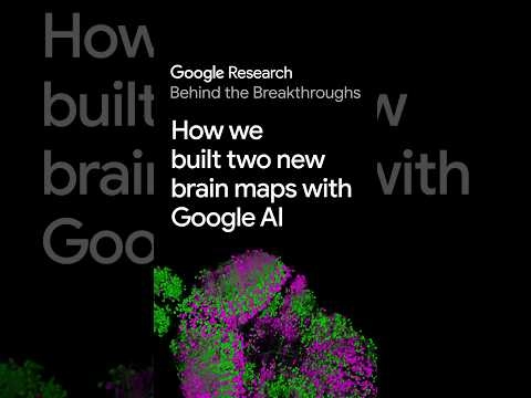 耗時十年工程落地:Google聯合團隊釋出雄性果蠅完整中樞神經連接圖譜並全面開源